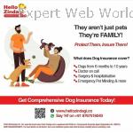 Dog Insurance To Cover Your Pet Medical Needs And