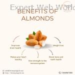 Cocoa Roasted Almonds & Dried Fruits & Nuts -  Tem