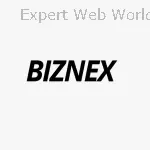 BizneX - Digital Marketing Agency