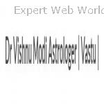 Dr. Vishnu Modi Astrologer